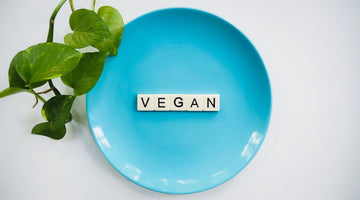 What is Vegan Mayo?